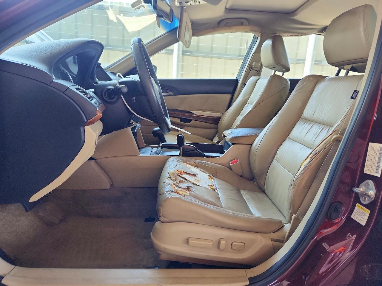 2011 Honda Accord Exl Burgundy vin: 1HGCP3F8XBA021797
