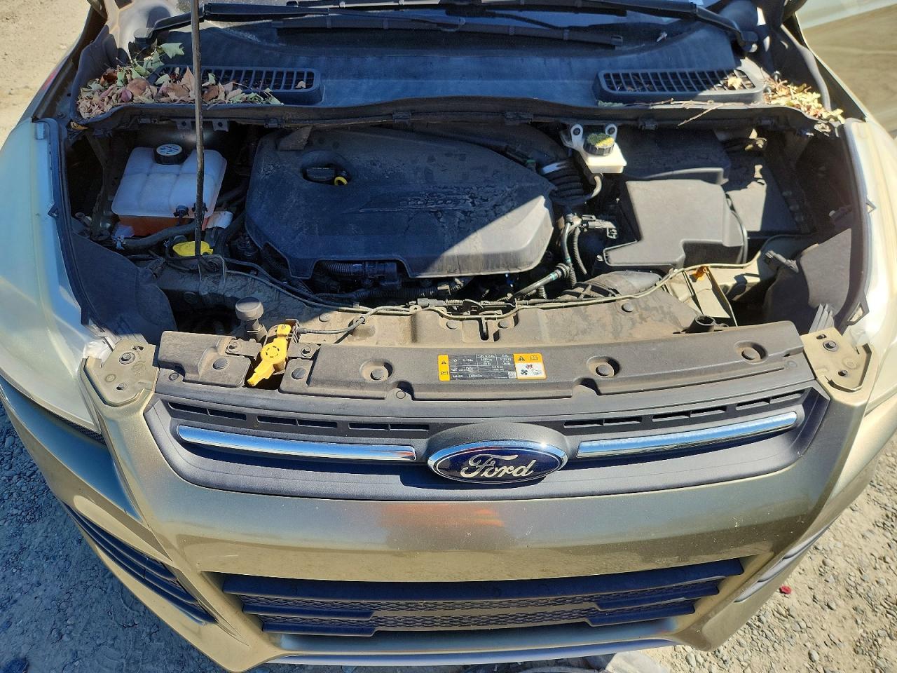 2013 Ford Escape Se Green vin: 1FMCU0GX8DUB15654