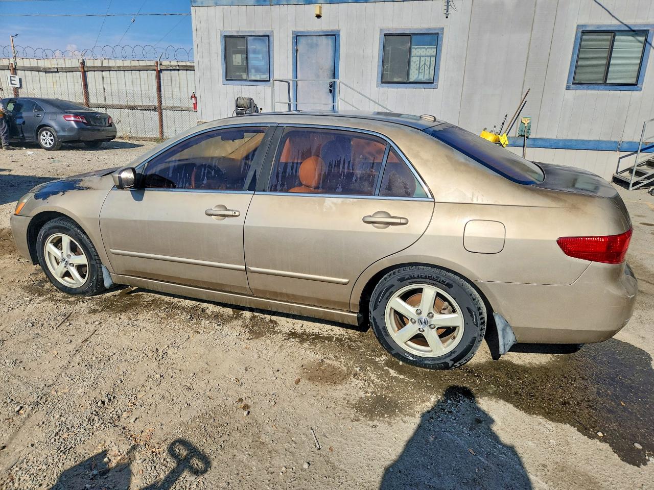 2005 Honda Accord Ex Tan vin: JHMCM56895C006850