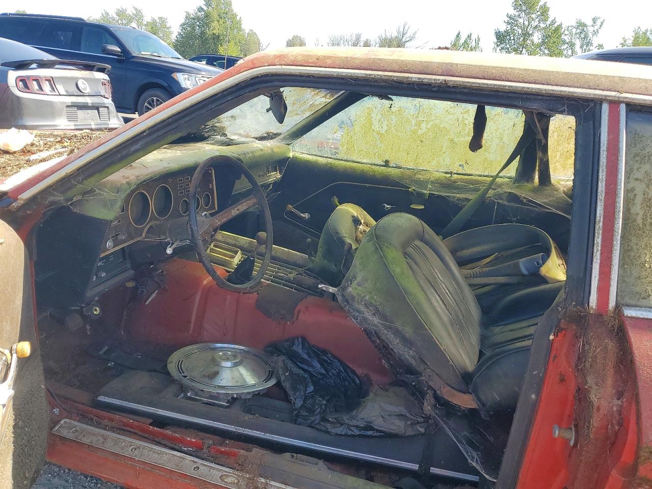1973 Ford Mustang Красный vin: 4F02Y136350
