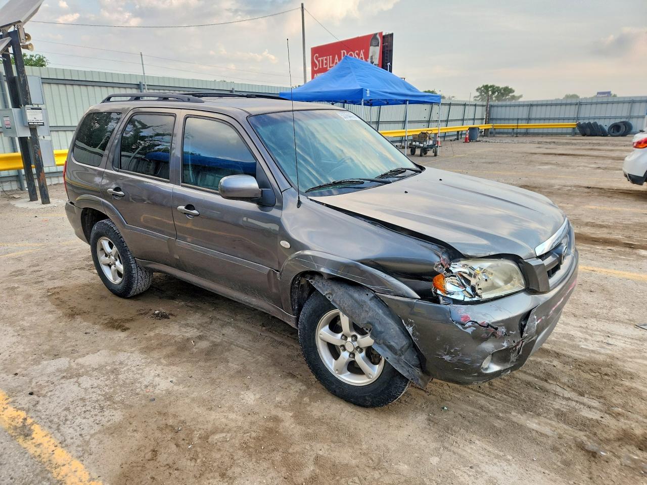 2006 Mazda Tribute S Серый vin: 4F2CZ06196KM28598