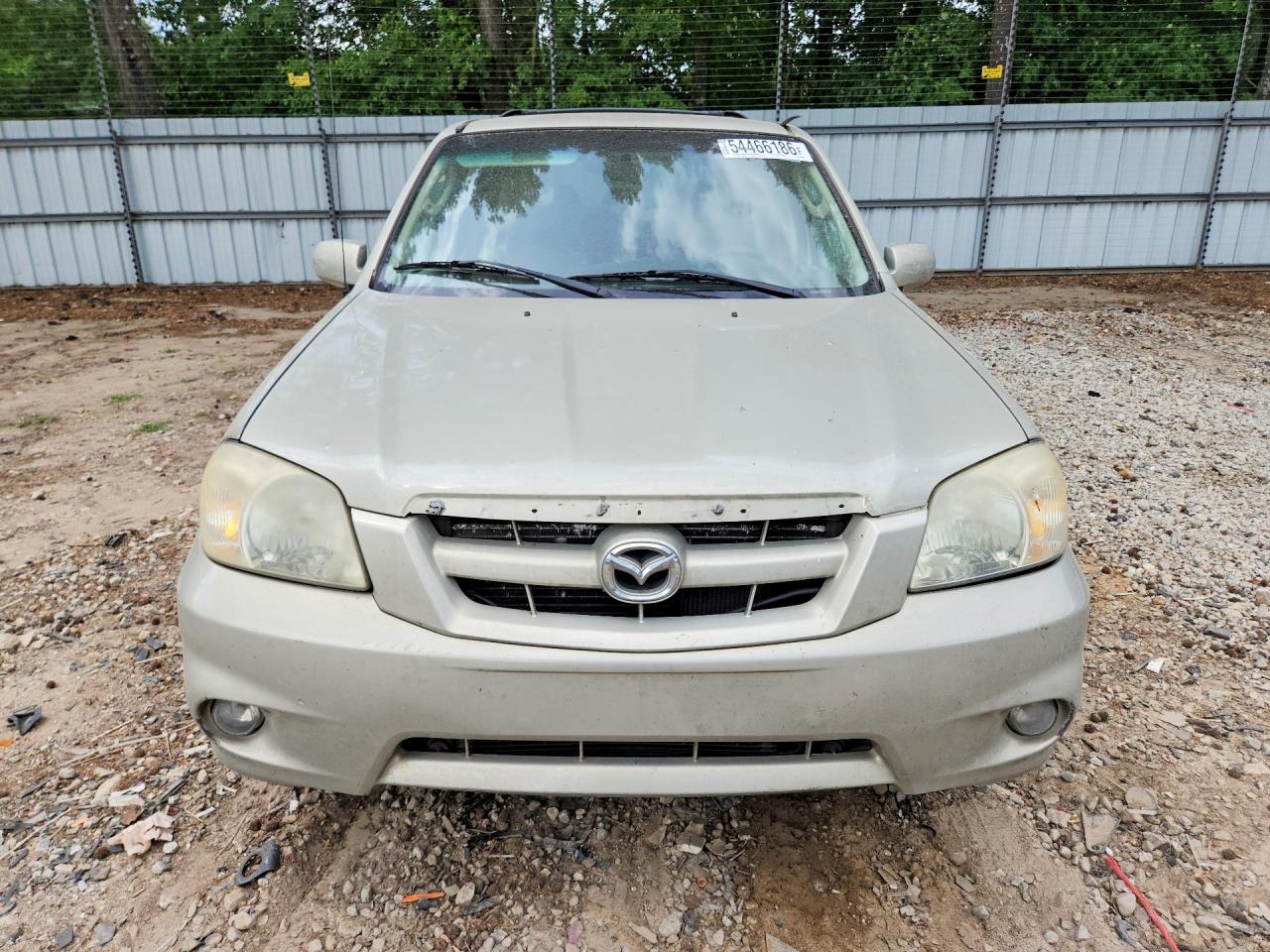 2006 Mazda Tribute S Бежевый vin: 4F2YZ04186KM10022