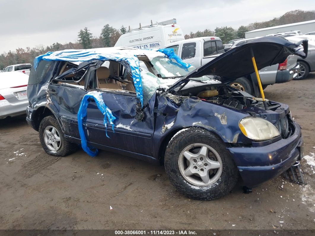2000 Mercedes-benz M-class   Blue vin: 4JGAB54E2YA219156