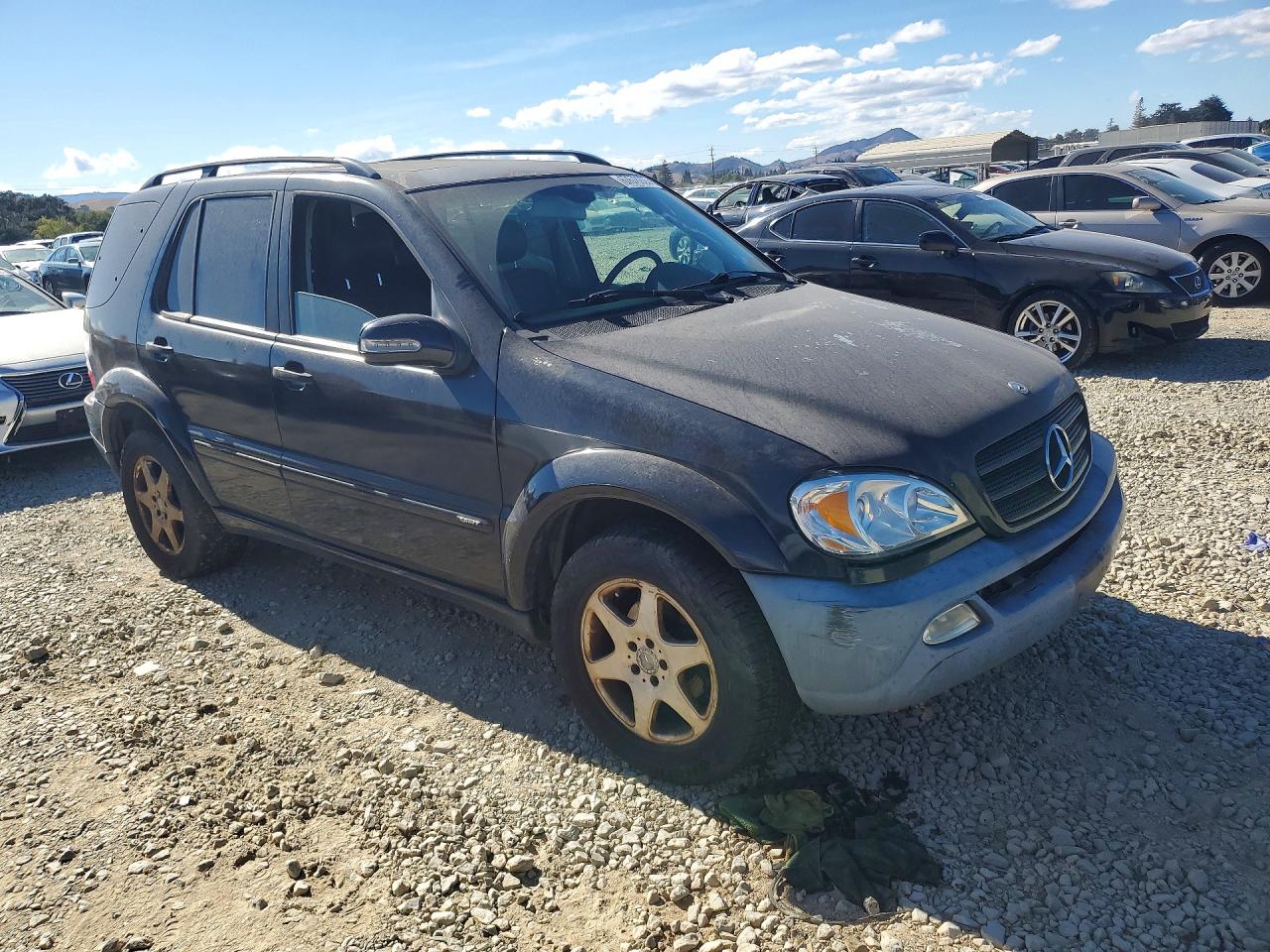 2002 Mercedes-benz Ml 320 Black vin: 4JGAB54E82A307930