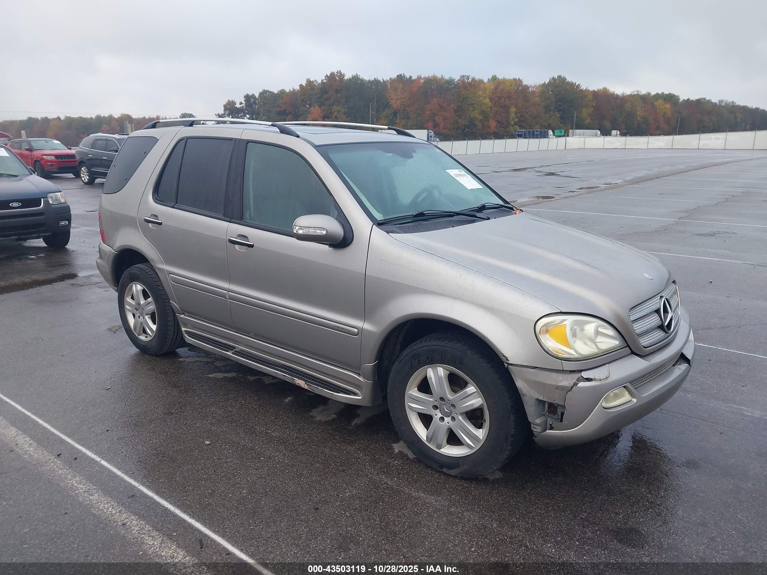2005 Mercedes-benz Ml 350 Silver vin: 4JGAB57E95A566099