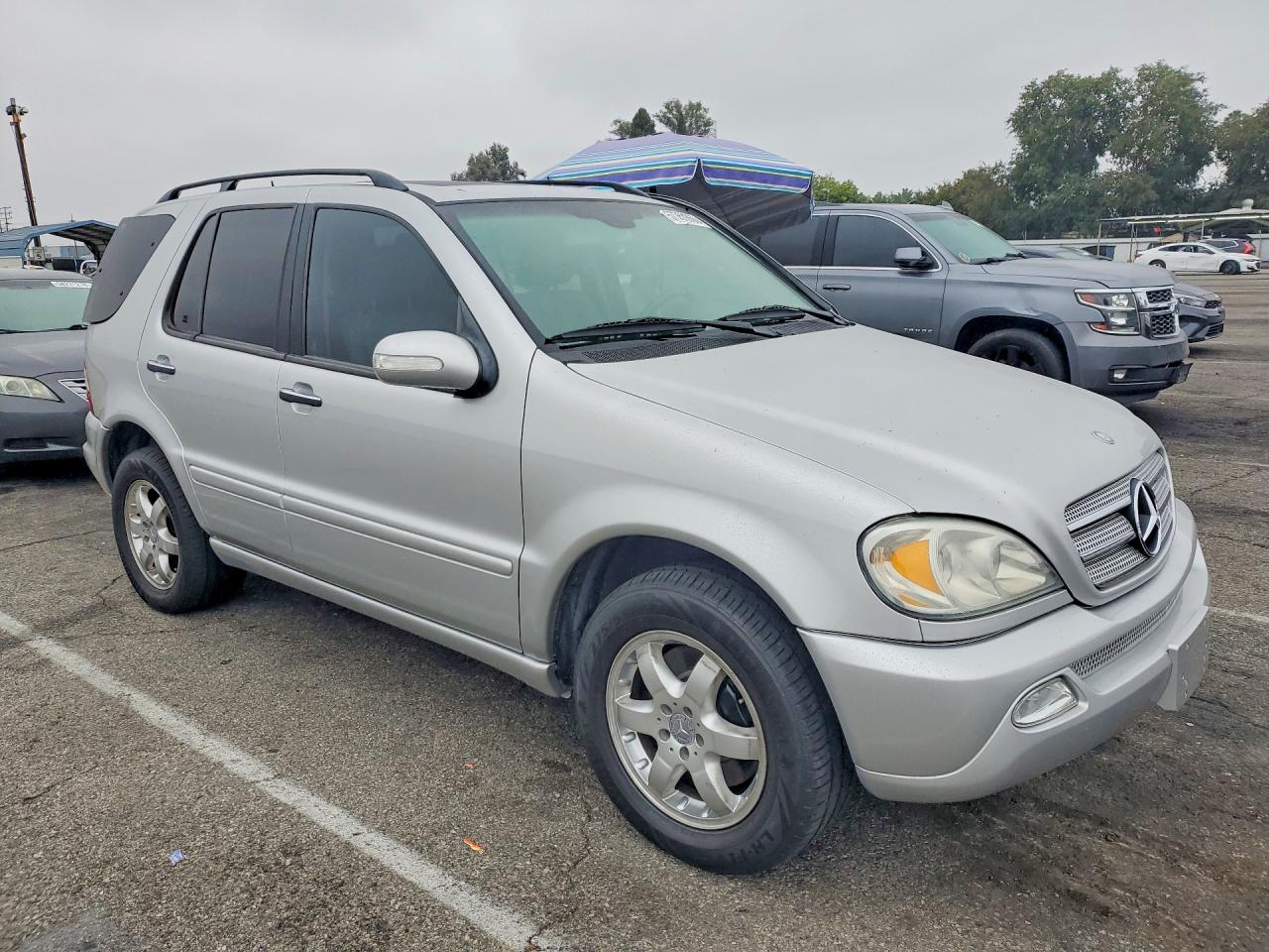 2002 Mercedes-benz Ml 500 Silver vin: 4JGAB75E92A324357