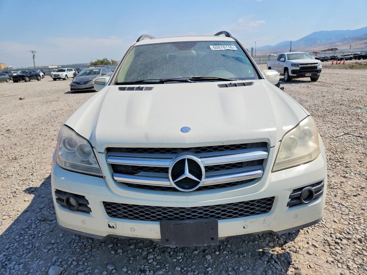 2009 Mercedes-benz Gl White vin: 4JGBF25E19A477014