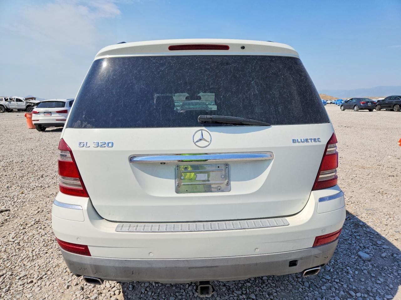 2009 Mercedes-benz Gl White vin: 4JGBF25E19A477014