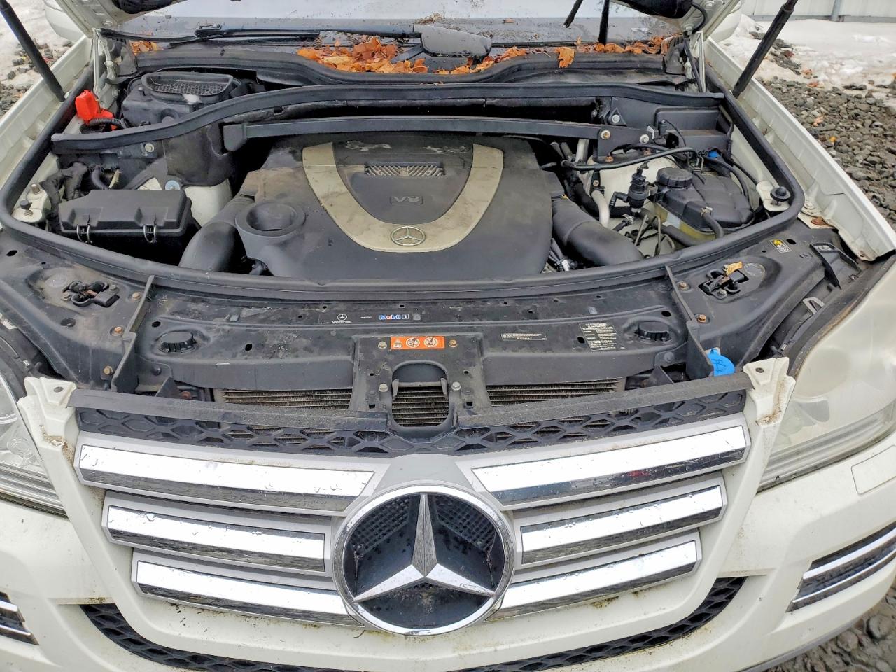 2010 Mercedes-benz Gl 550 4matic Белый vin: 4JGBF8GE0AA603383