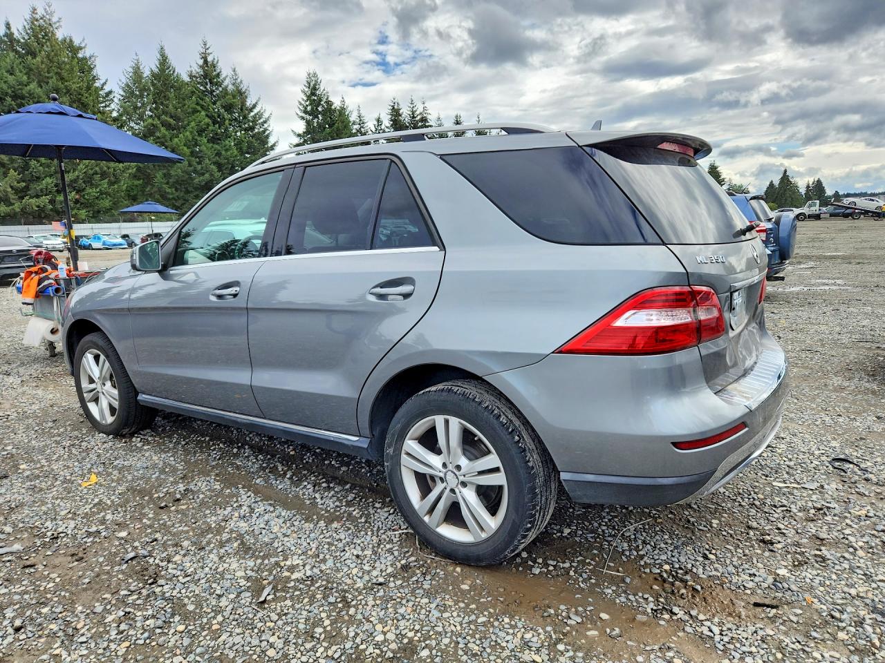 2013 Mercedes-benz Ml 350 Bluetec Серый vin: 4JGDA2EB1DA255854