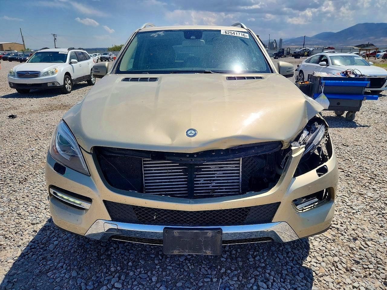 2013 Mercedes-benz Ml 350 Bluetec Tan vin: 4JGDA2EB9DA246321