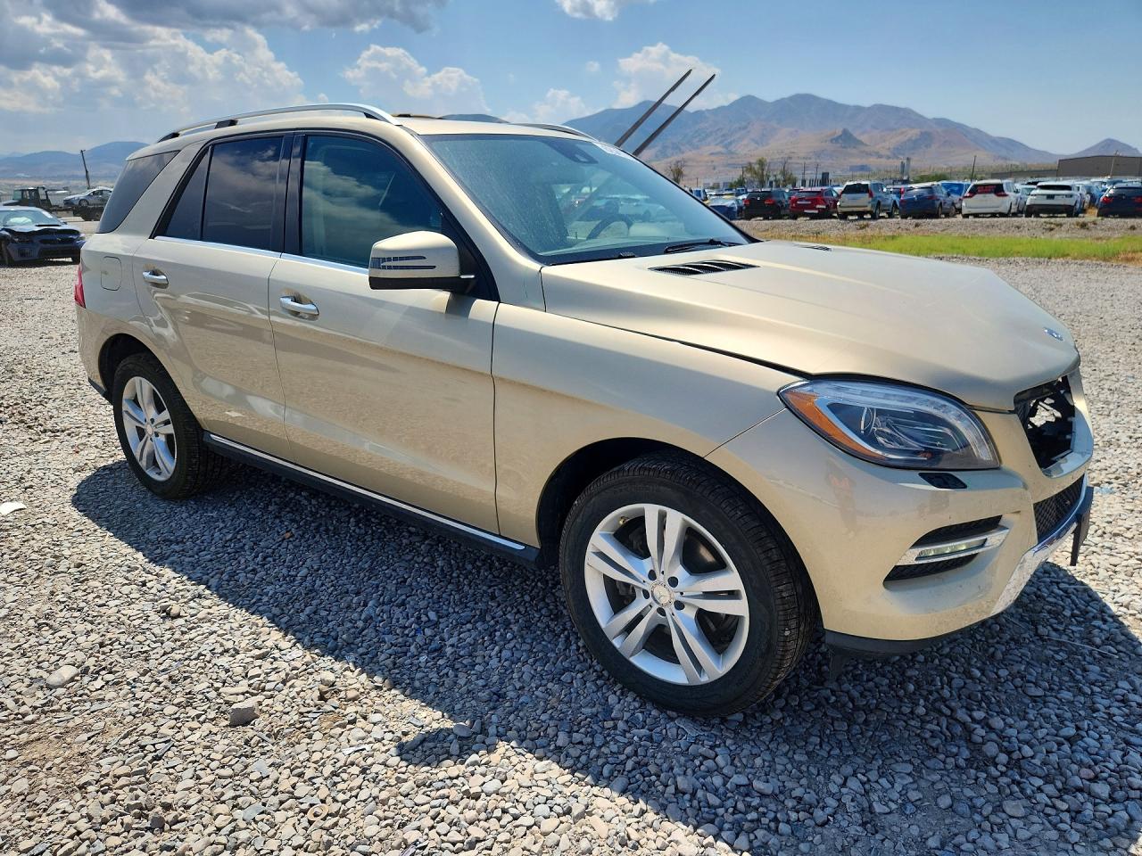 2013 Mercedes-benz Ml 350 Bluetec Tan vin: 4JGDA2EB9DA246321