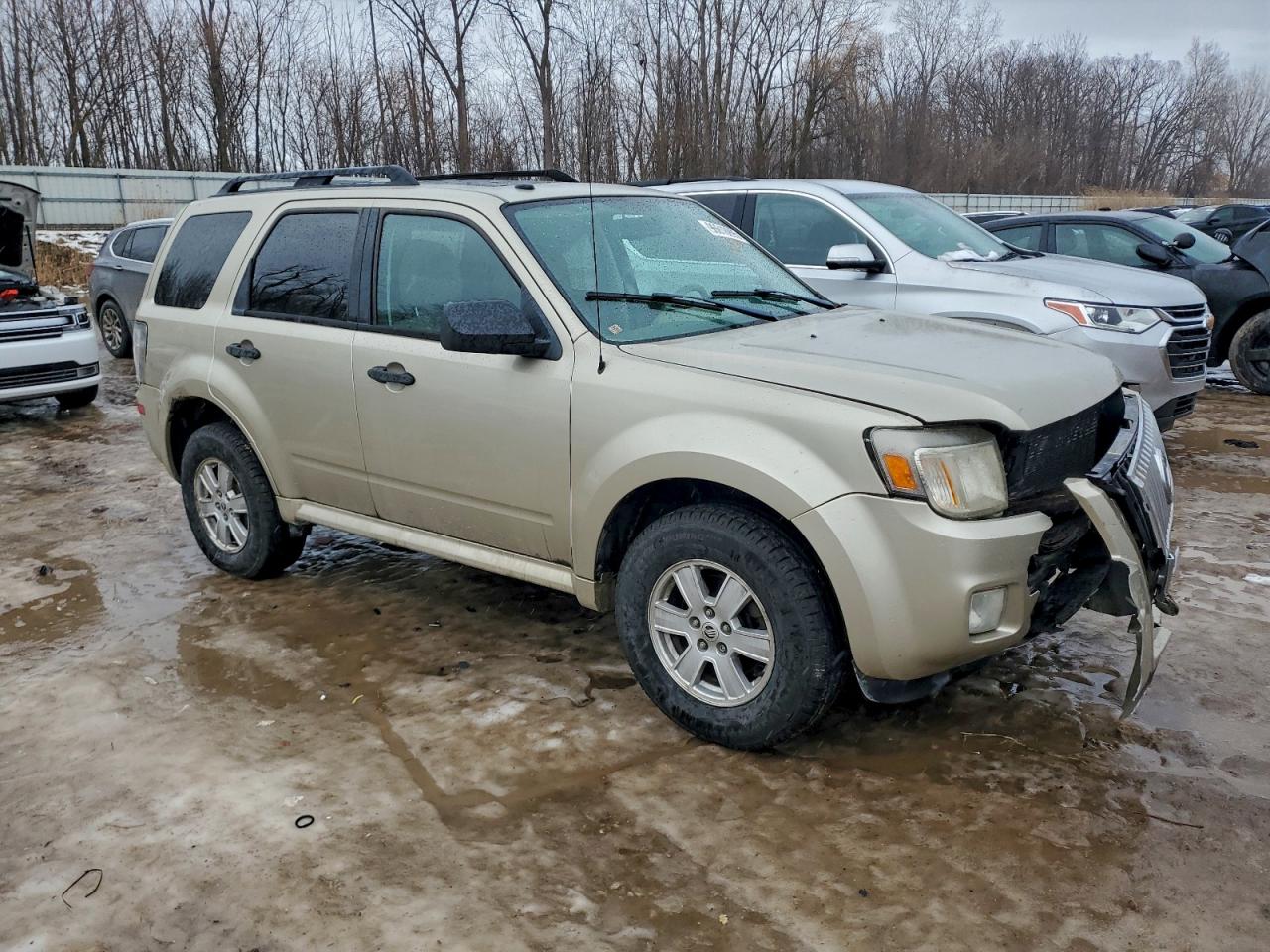 2010 Mercury Mariner Золотой vin: 4M2CN8B71AKJ17643