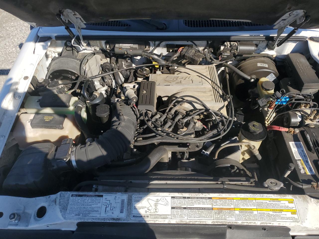 1999 Mercury Mountaineer White vin: 4M2ZU55P8XUJ39871