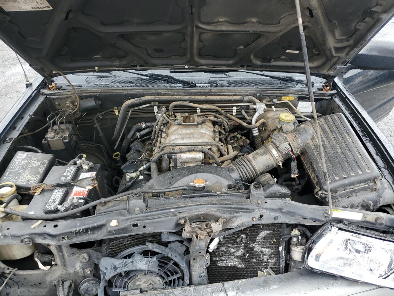 2002 Isuzu Rodeo Black vin: 4S2DM58W424304881