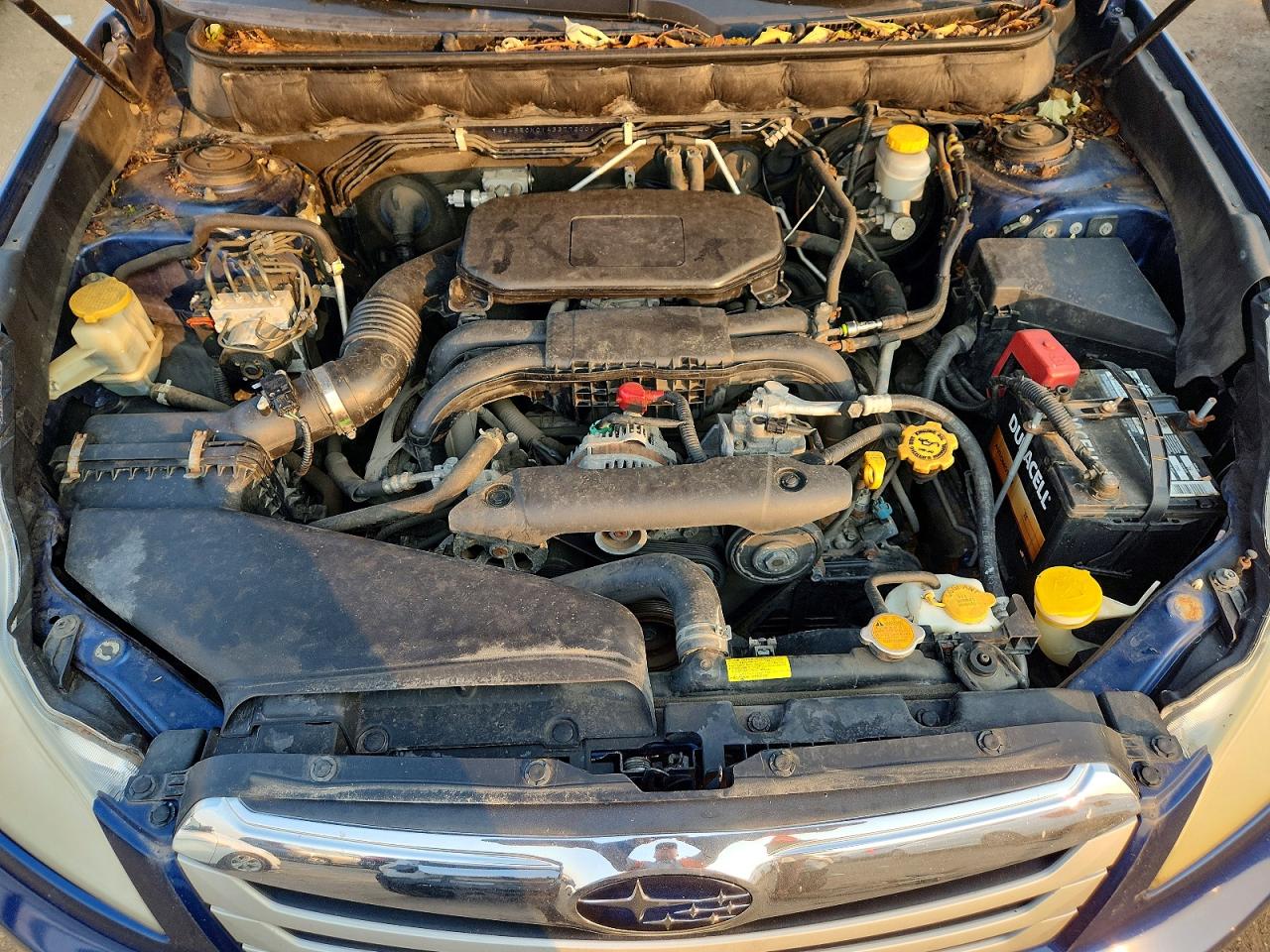 2010 Subaru Outback 2.5i Limited Blue vin: 4S4BRCKC1A3377200