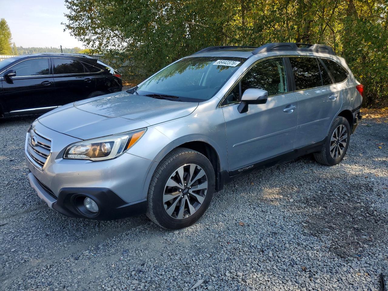 4S4BSANC9F3313501