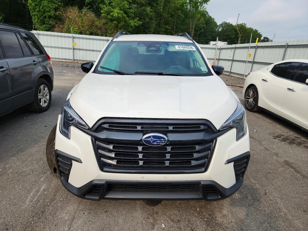 2026 Subaru Ascent Premium Белый vin: 4S4WMABDXT3404975
