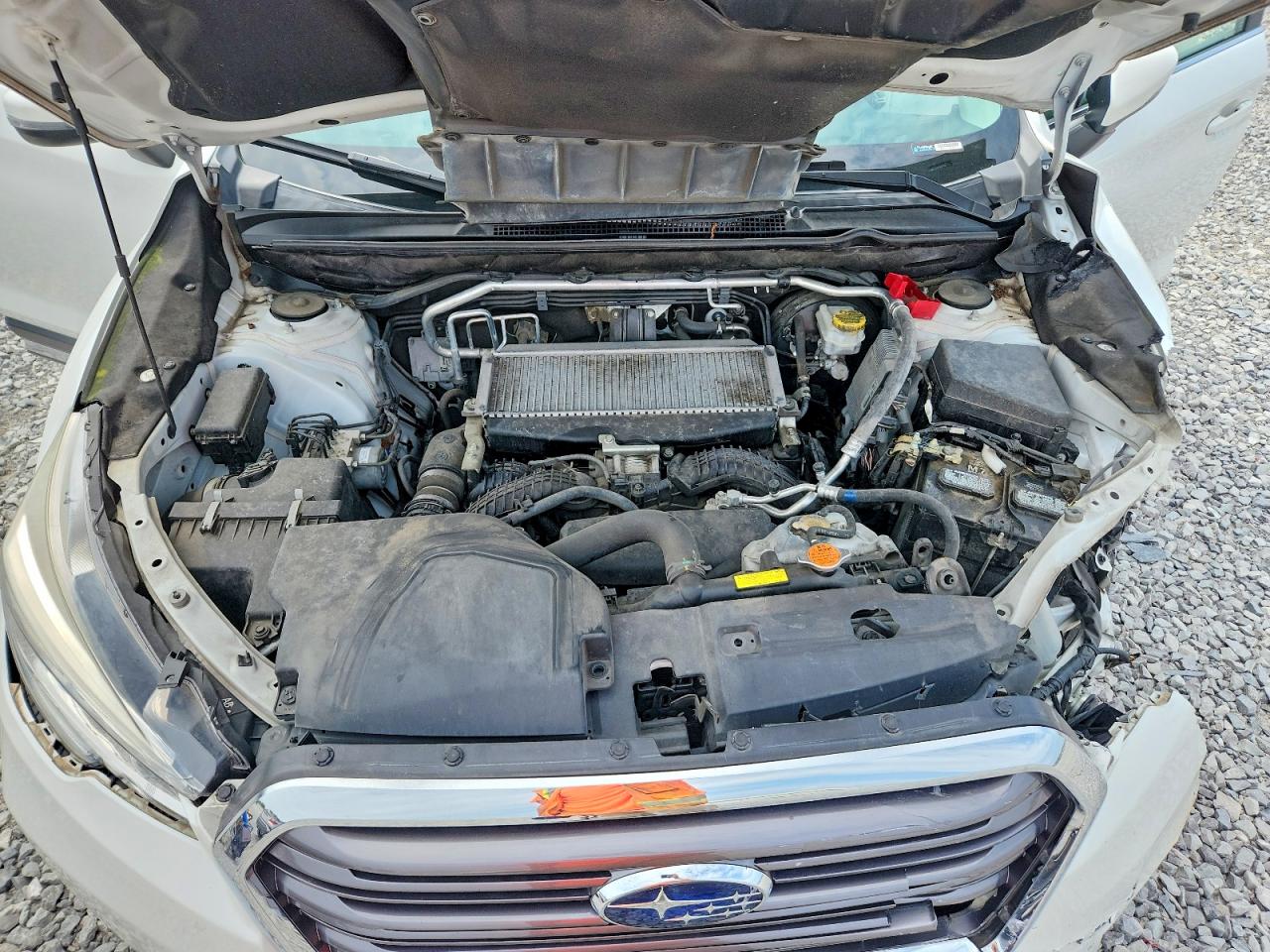 2019 Subaru Ascent Limited Белый vin: 4S4WMAJD1K3464465