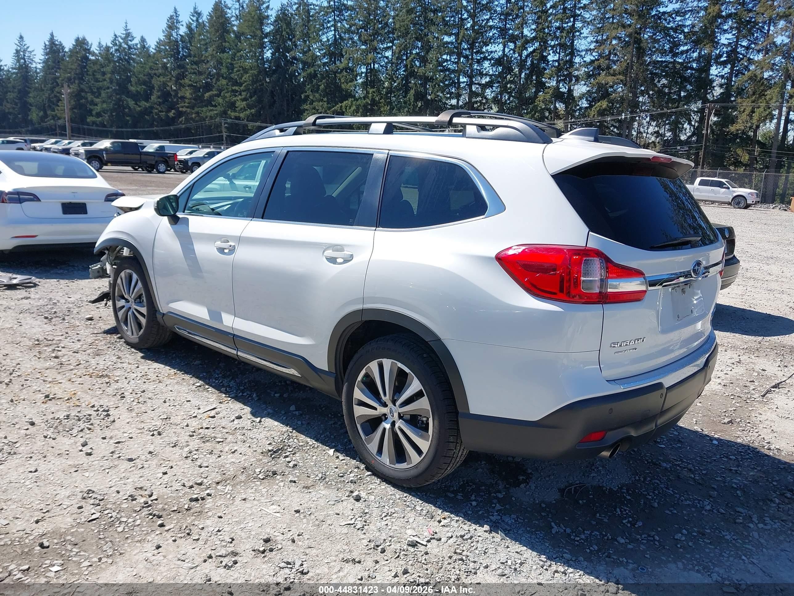2019 Subaru Ascent Limited White vin: 4S4WMAJD3K3450843