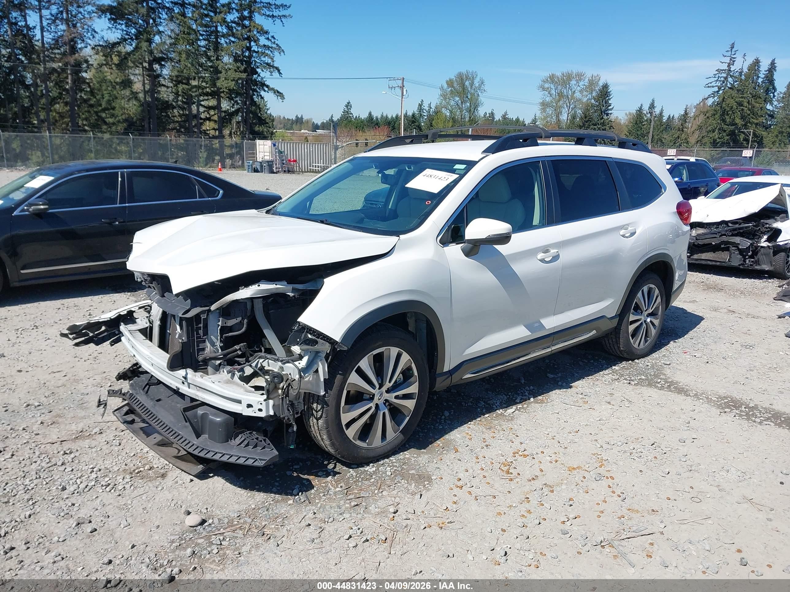 2019 Subaru Ascent Limited White vin: 4S4WMAJD3K3450843