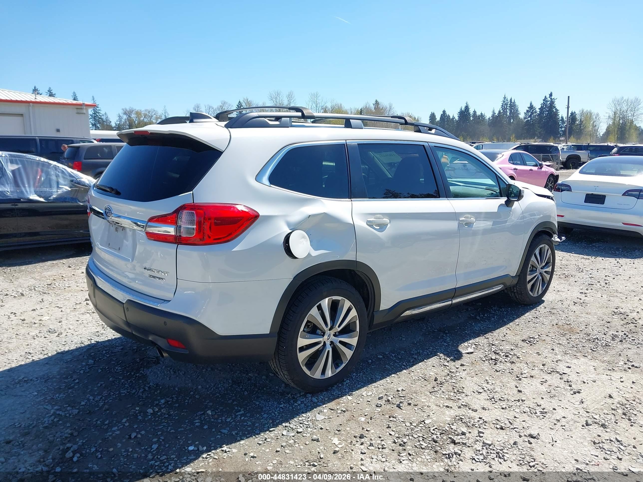 2019 Subaru Ascent Limited White vin: 4S4WMAJD3K3450843