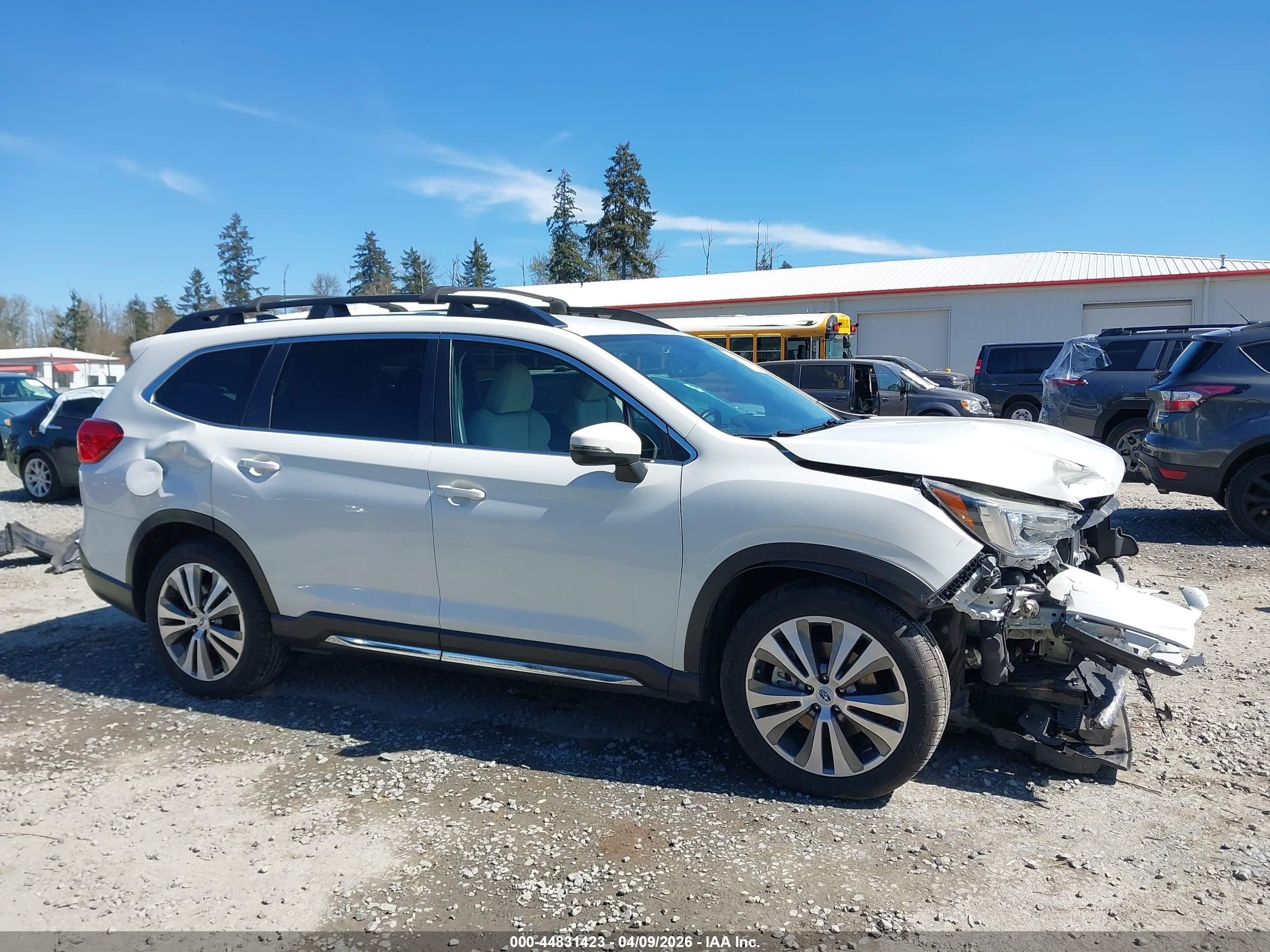2019 Subaru Ascent Limited White vin: 4S4WMAJD3K3450843