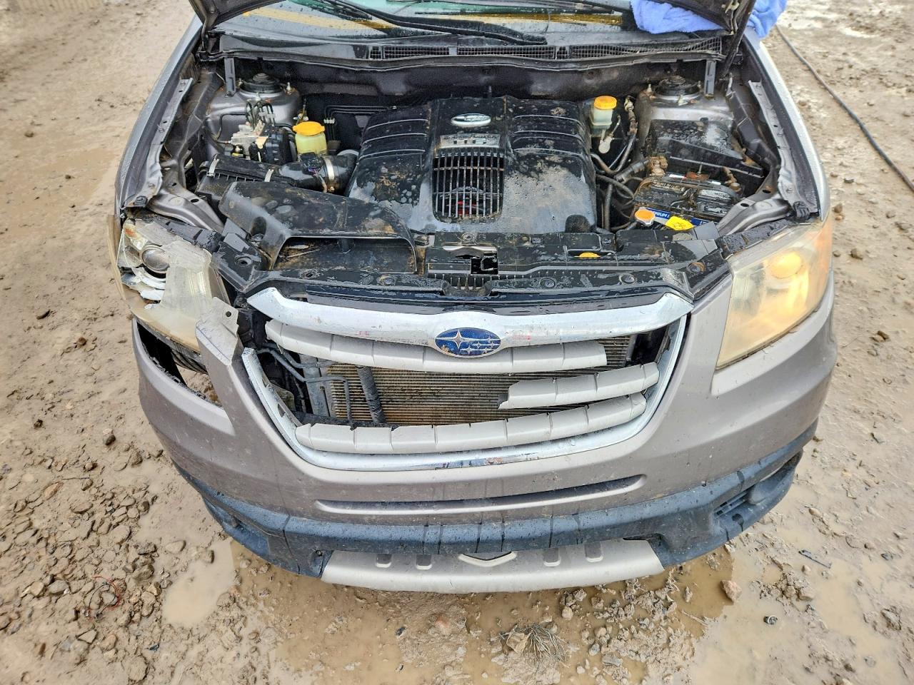 2008 Subaru Tribeca Gray vin: 4S4WX91D384406527