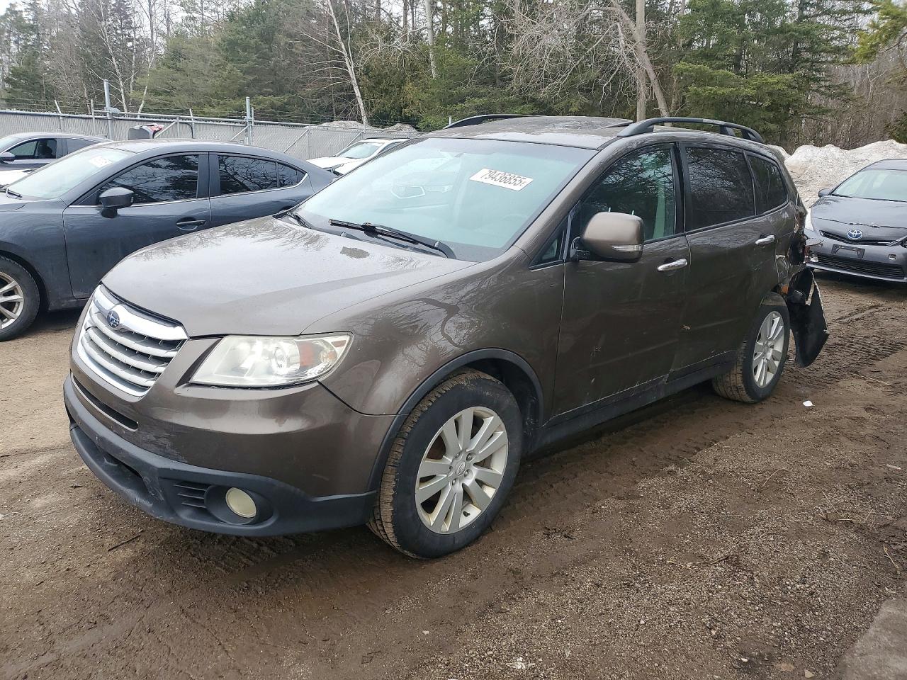 2010 Subaru Tribeca Premium Brown vin: 4S4WX9FDXA4401341