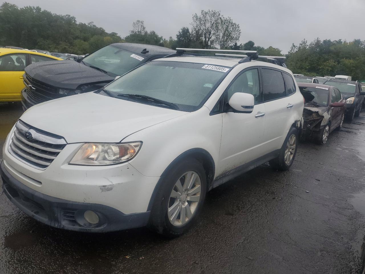 2010 Subaru Tribeca Limited White vin: 4S4WX9GD4A4400796
