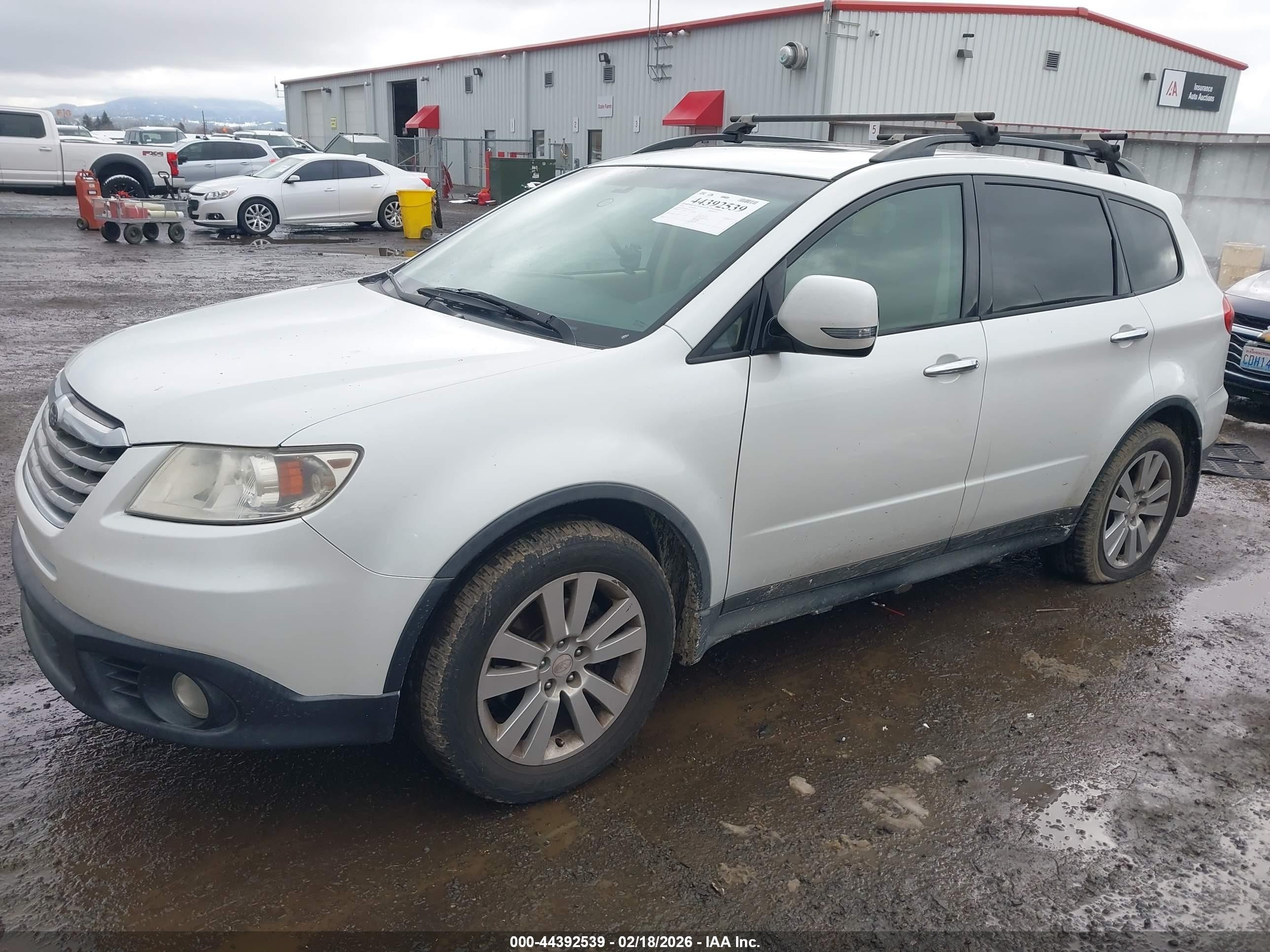 2010 Subaru Tribeca 3.6r Limited White vin: 4S4WX9GD5A4401777