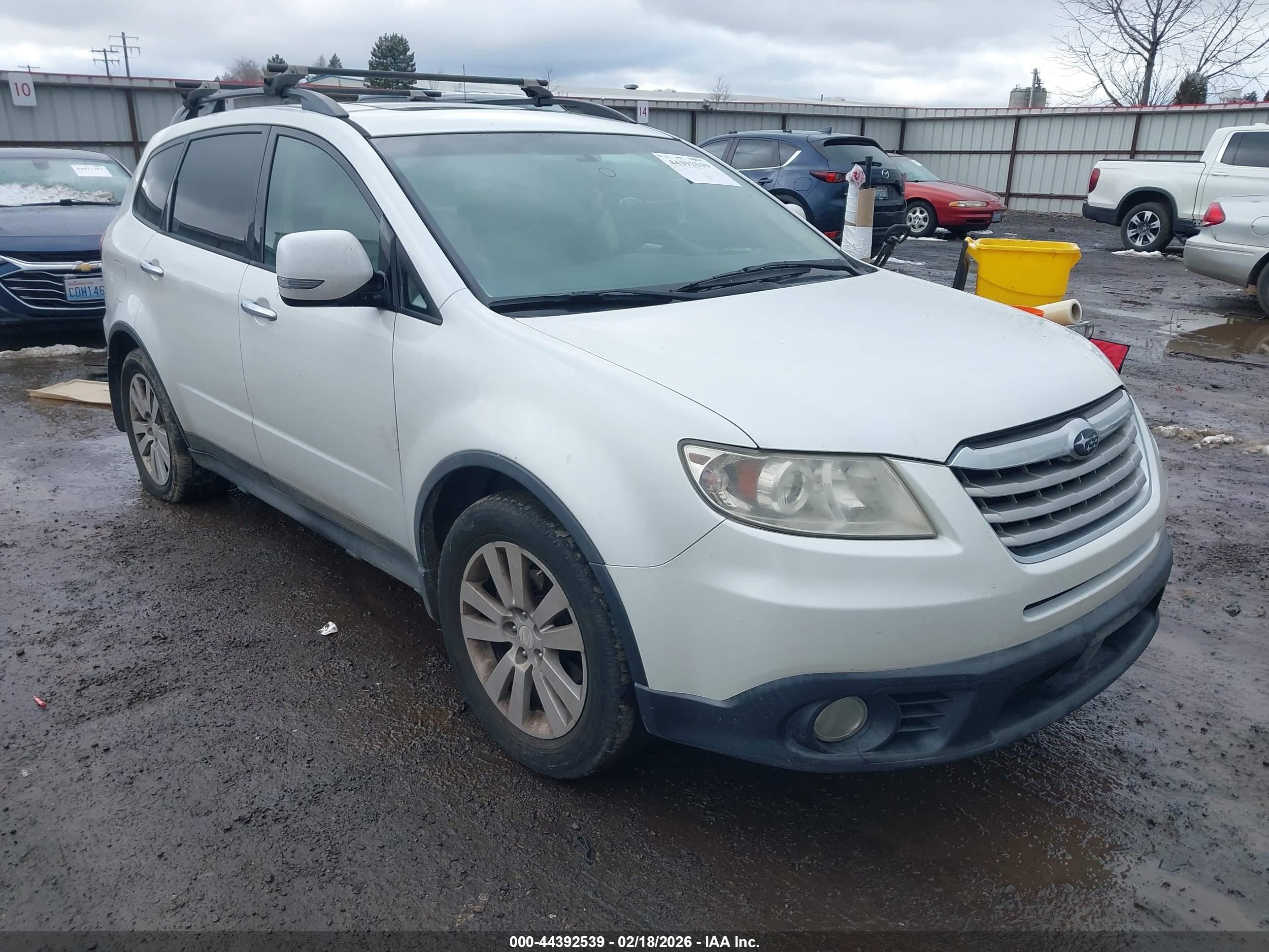 2010 Subaru Tribeca 3.6r Limited White vin: 4S4WX9GD5A4401777