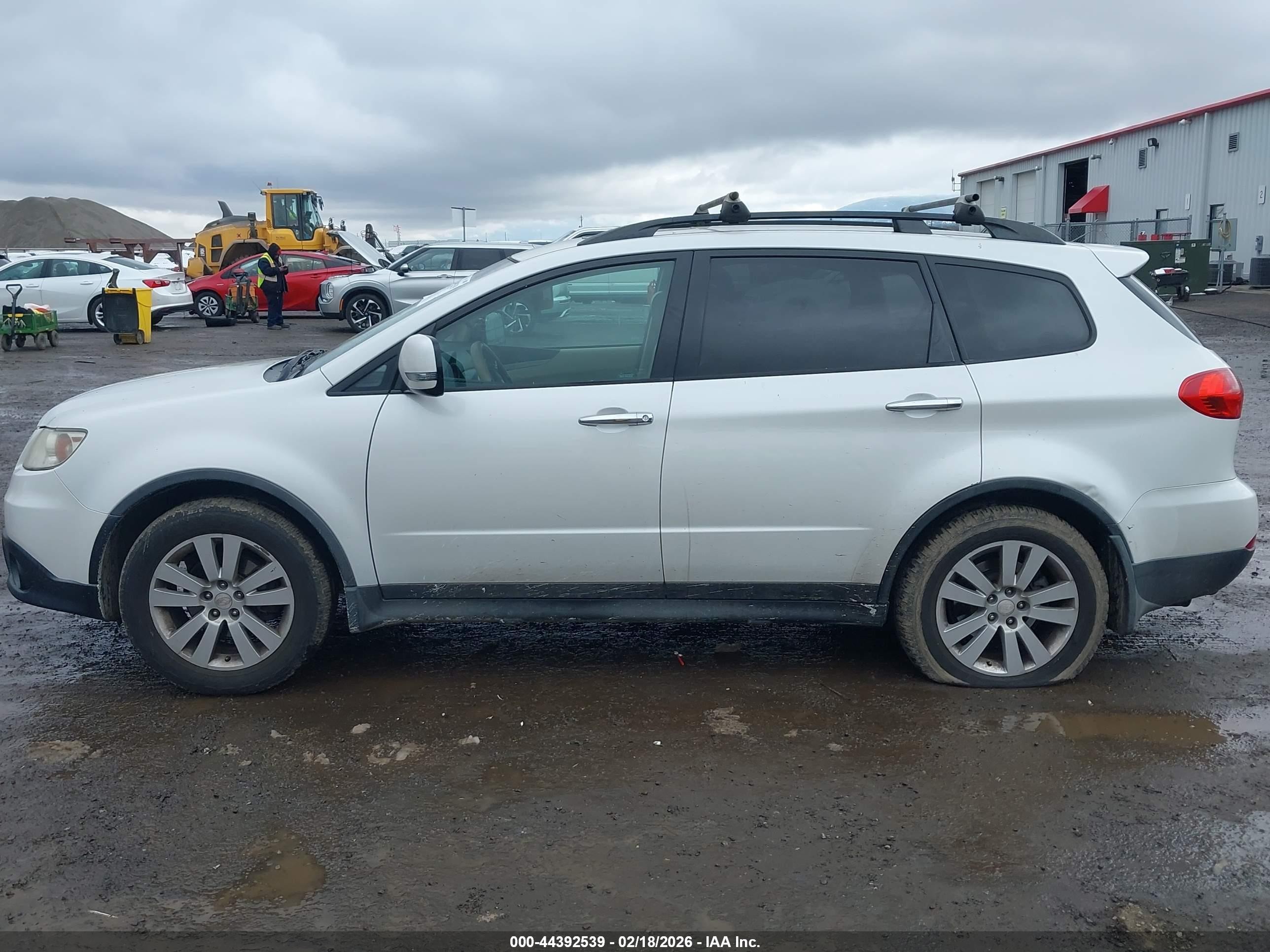 2010 Subaru Tribeca 3.6r Limited White vin: 4S4WX9GD5A4401777