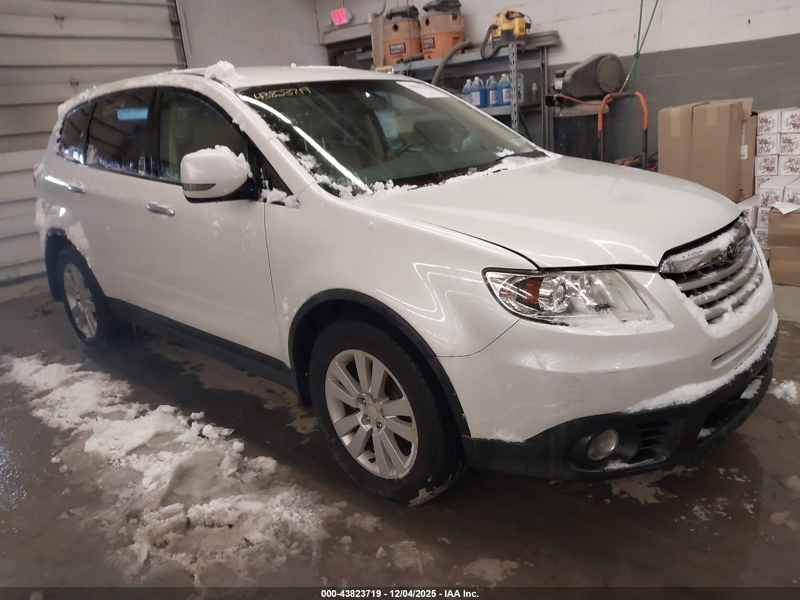 2010 Subaru Tribeca 3.6r Limited Белый vin: 4S4WX9GD9A4400485