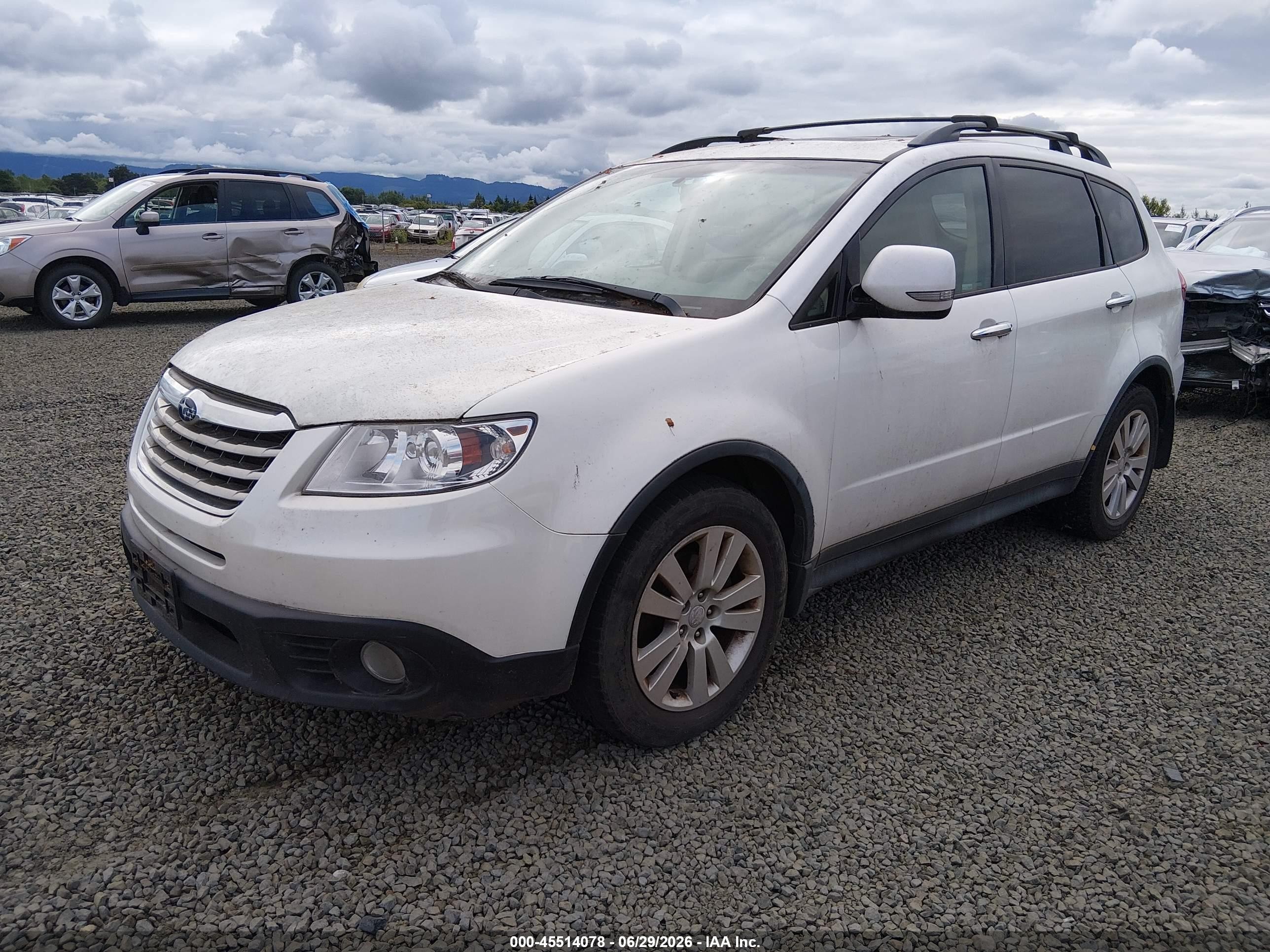 2013 Subaru Tribeca 3.6r Limited Белый vin: 4S4WX9HD1D4401696