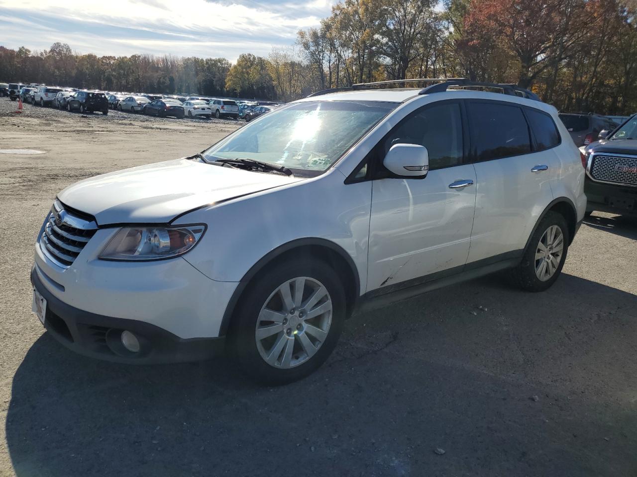 2014 Subaru Tribeca Limited Белый vin: 4S4WX9KD6E4400554