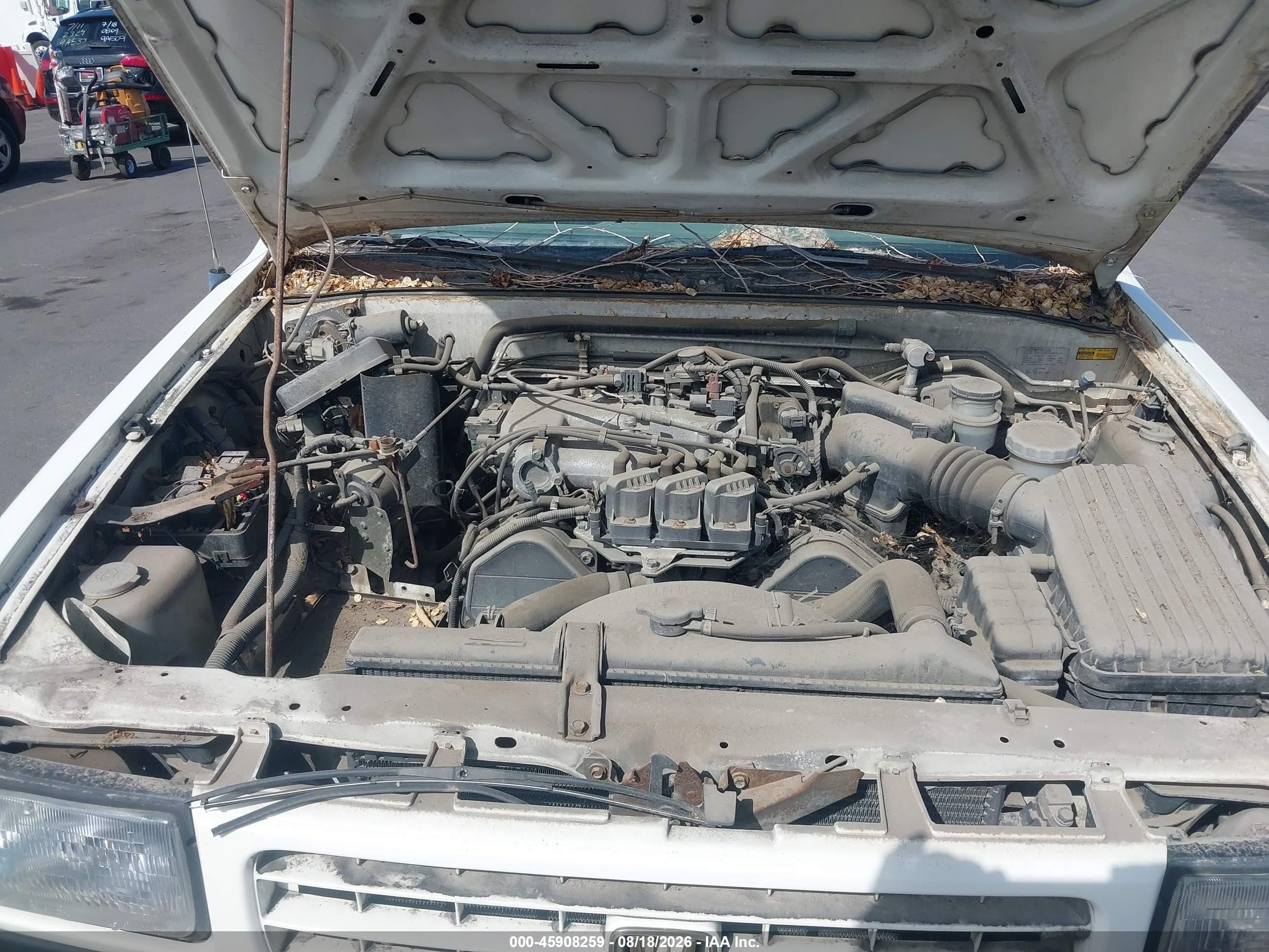 1995 Honda Passport Ex/lx White vin: 4S6CK58V7S4423466