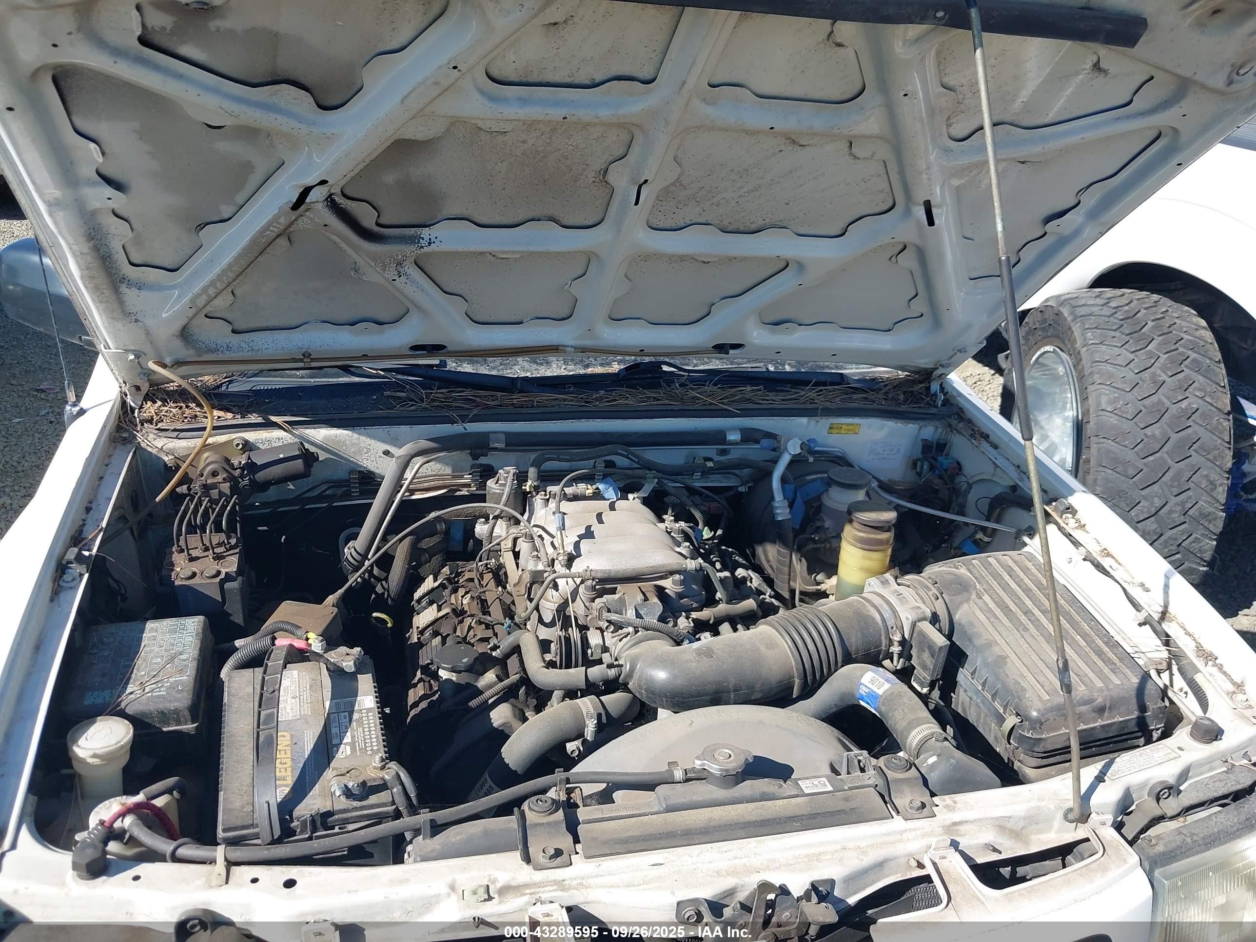 1998 Honda Passport Ex/lx White vin: 4S6CM58W1W4416635