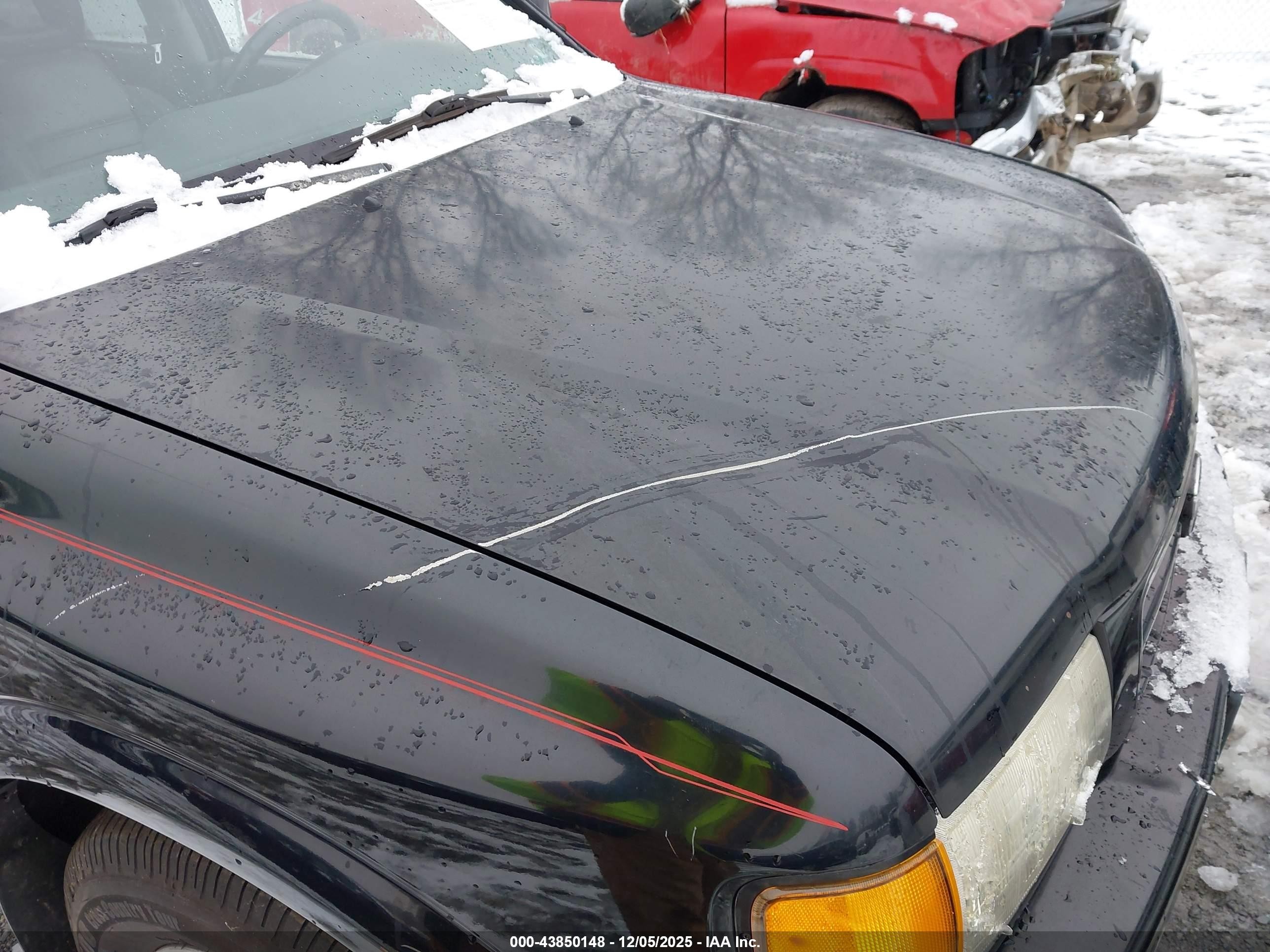 1998 Honda Passport Ex/lx Black vin: 4S6CM58W9W4406919