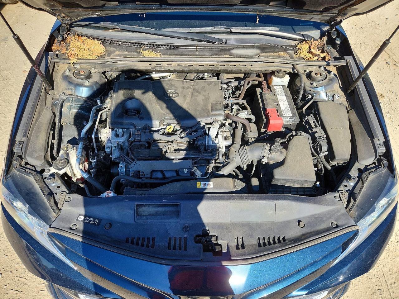 2019 Toyota Camry Le Teal vin: 4T1B11HK2KU238182