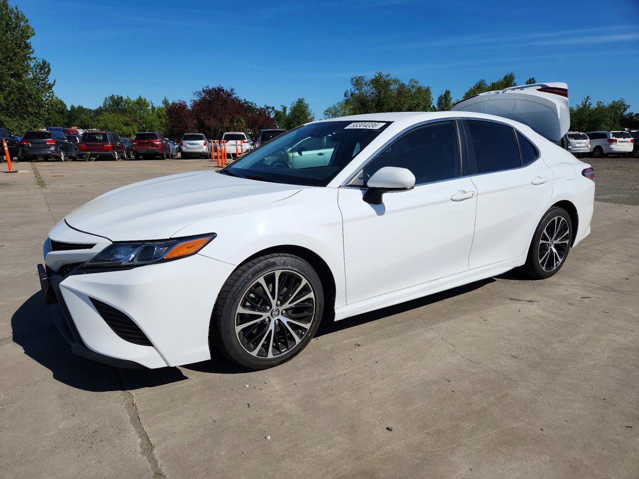 2019 Toyota Camry Se White vin: 4T1B11HK4KU730888