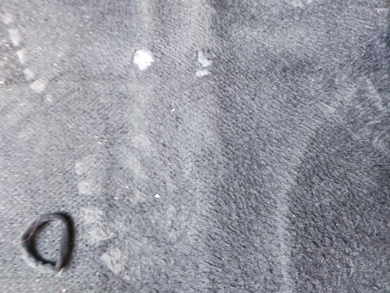 2019 Toyota Camry Se Black vin: 4T1B11HK5KU698033 Damage: Left Front Carpet, Torn, 1/2 To 1 Inch