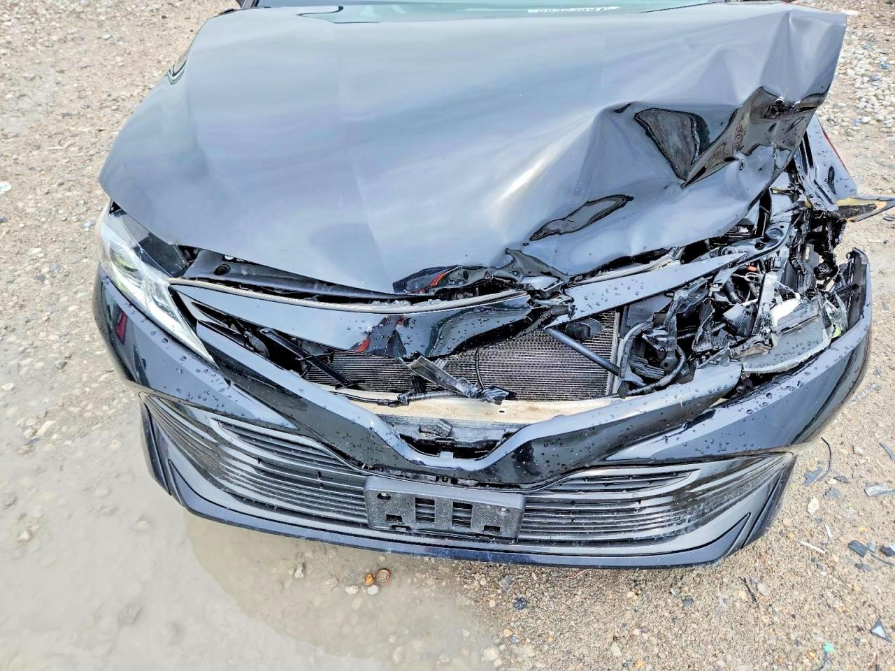 2019 Toyota Camry Le Black vin: 4T1B11HK5KU848688