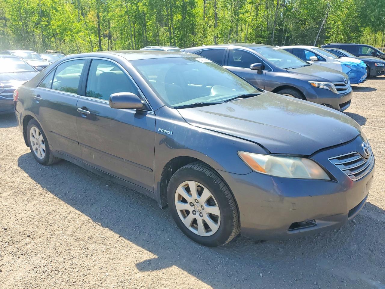 2009 Toyota Camry Hybrid Gray vin: 4T1BB46K09U076726