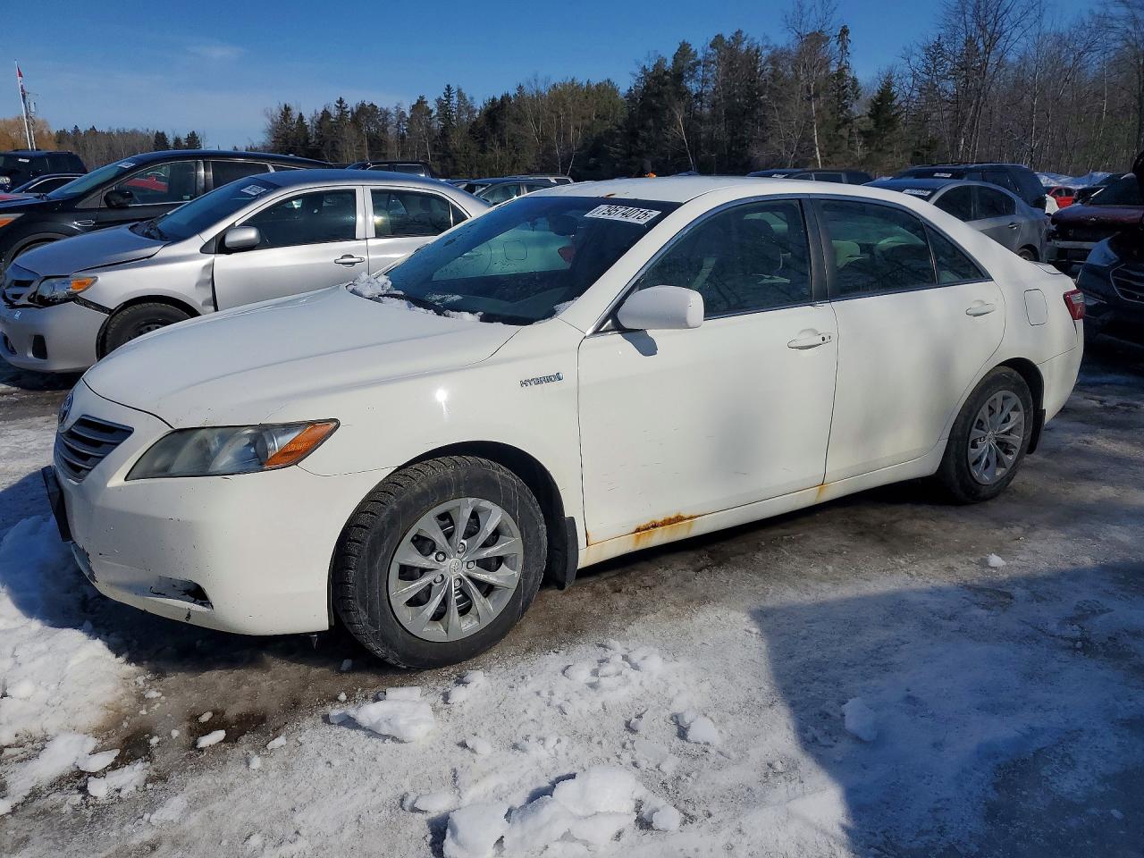 2008 Toyota Camry Hybrid Base White vin: 4T1BB46K38U062205