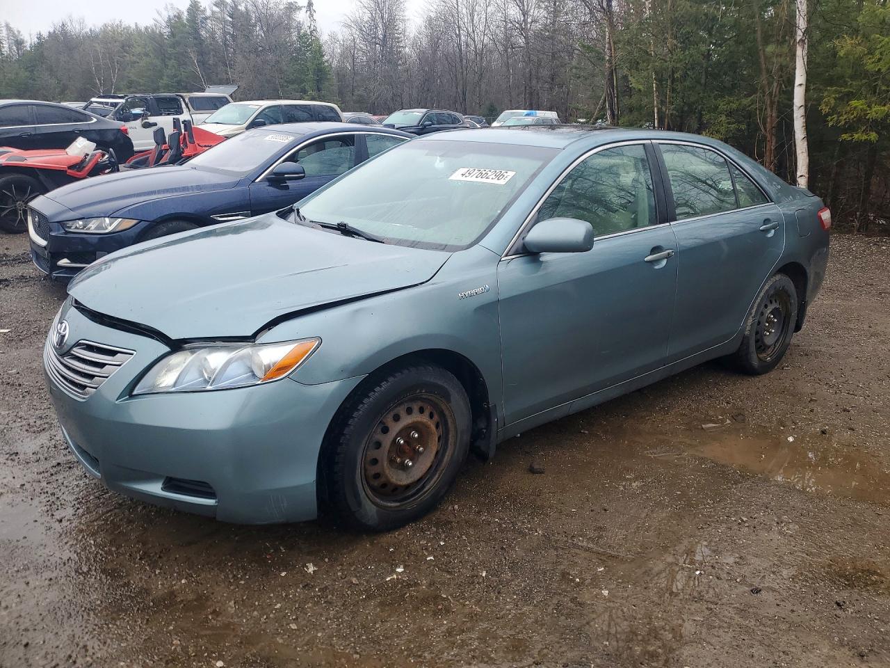 2009 Toyota Camry Зеленый vin: 4T1BB46K59U089388