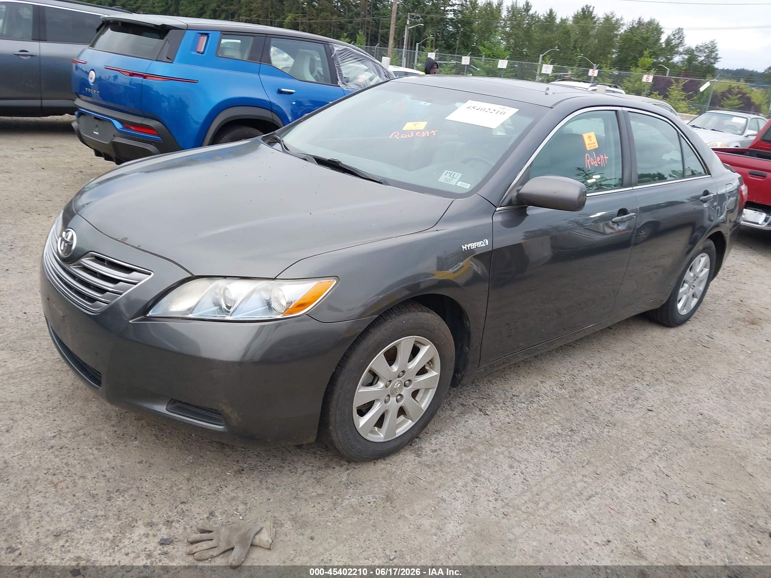 2009 Toyota Camry Hybrid   Gray vin: 4T1BB46K69U087097