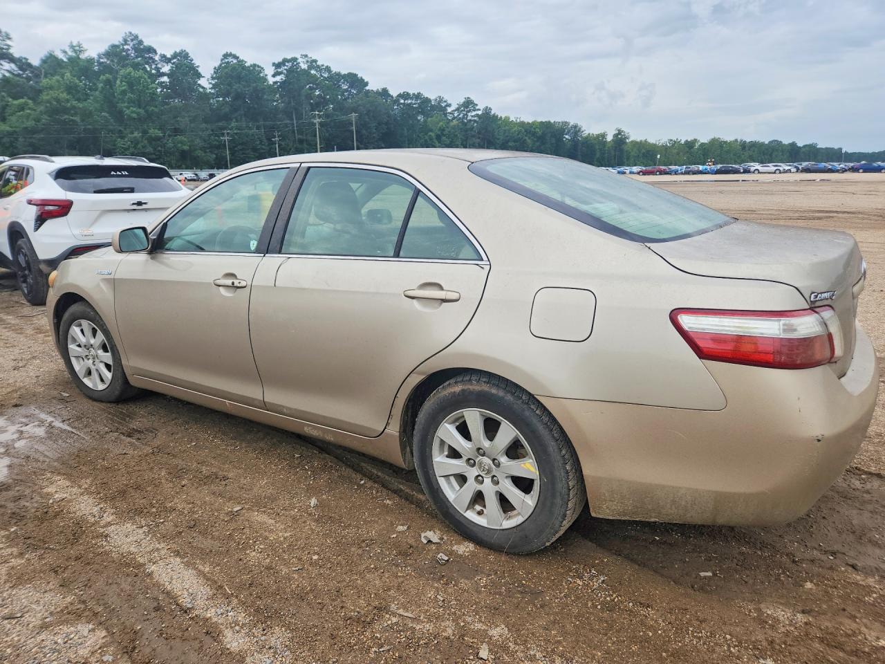 2007 Toyota Camry Hybrid Tan vin: 4T1BB46K77U027844