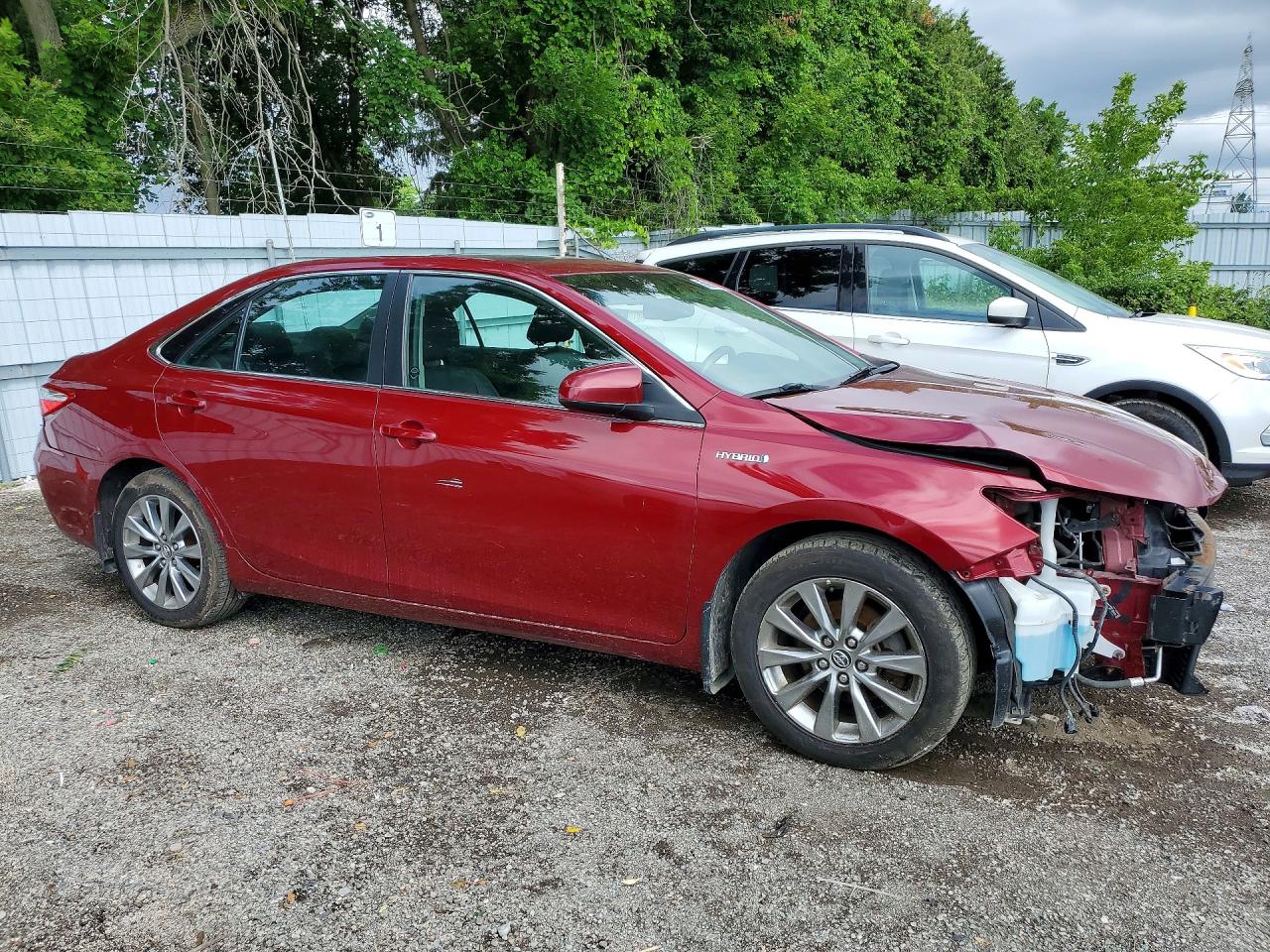 2015 Toyota Camry Hybrid Le Red vin: 4T1BD1FK0FU155978