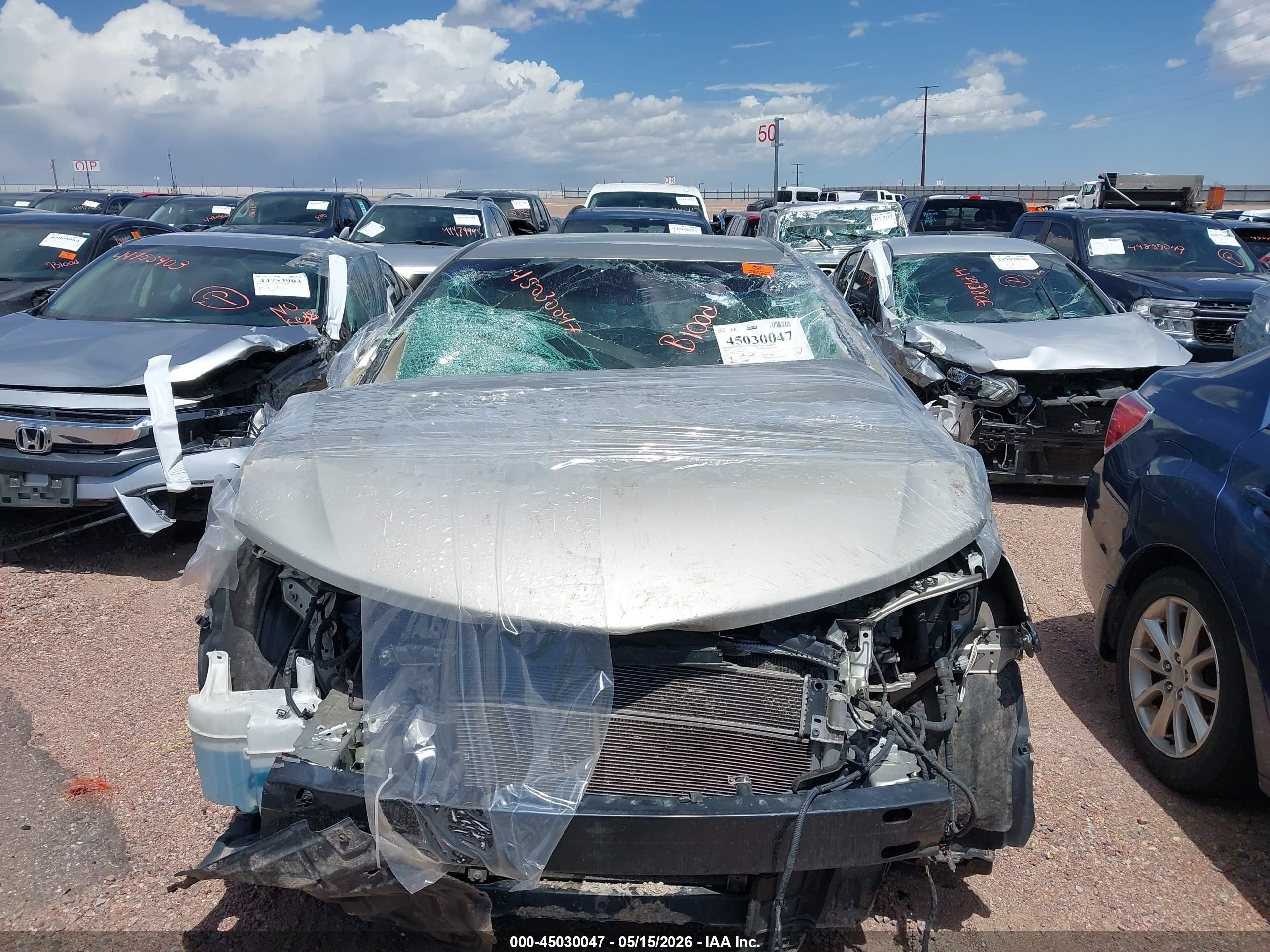 2013 Toyota Camry Hybrid Xle Champagne vin: 4T1BD1FK4DU069716
